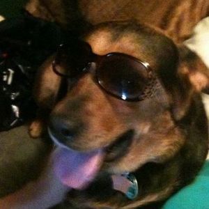 Meet your Posher, Hurley